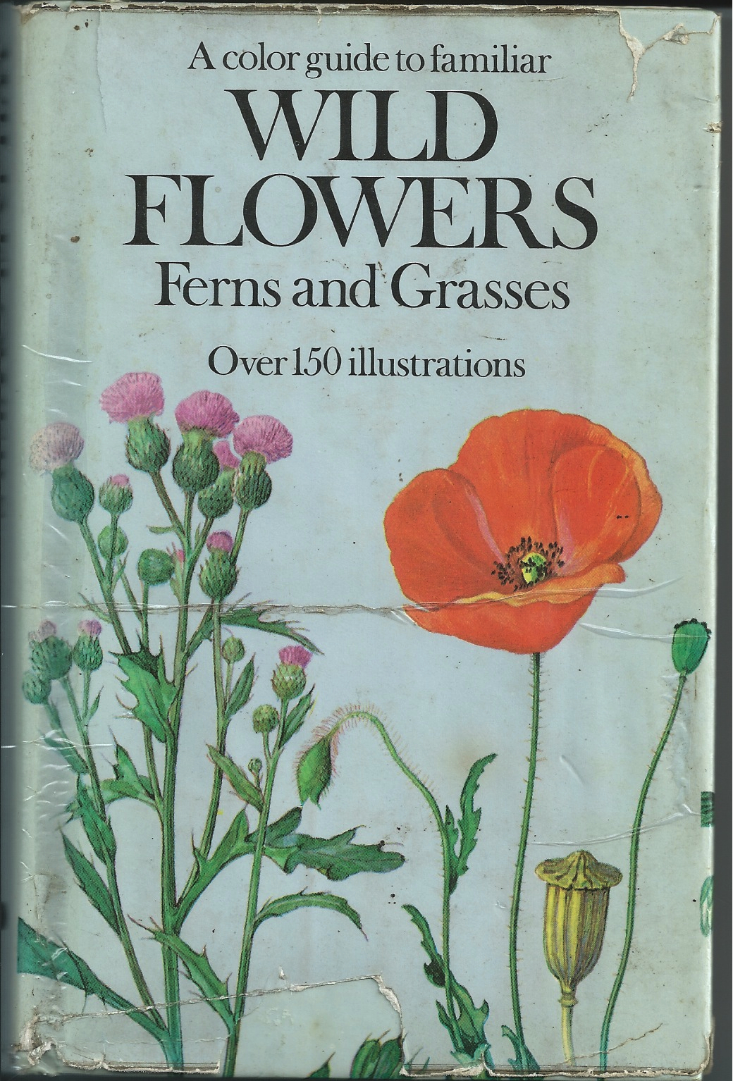 thumbnail image 2 of Wild Flowers: A Color Guide To Familiar Wild Flowers, Ferns And Grasses By Bohumil – Used Good 2 of 4