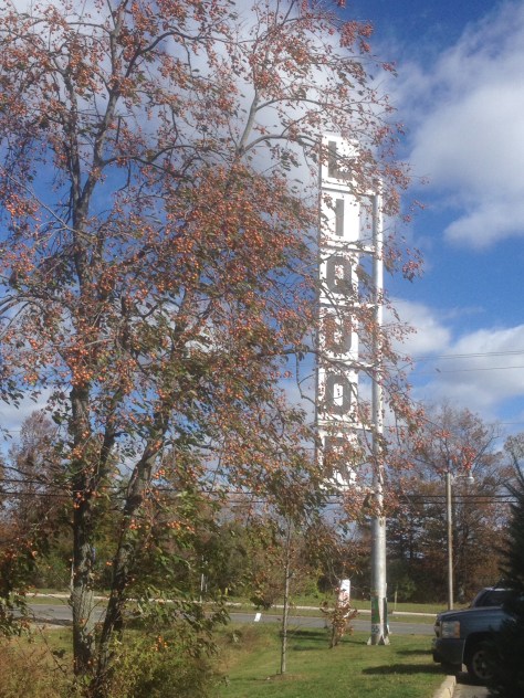 Parking lot persimmon 