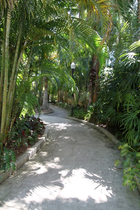 A Path winds its way through the Sunken Gardens of St. Petersburg Florida