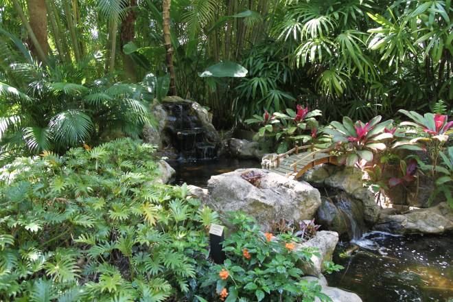 A Tropical View in the Sunken Gardens, St. Petersburg, FL