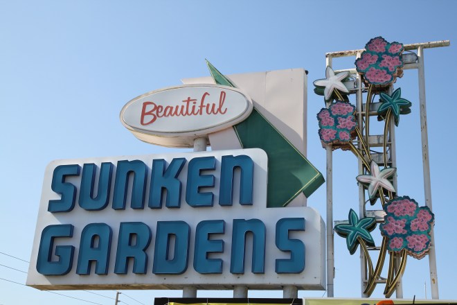 The Retro Sign of Sunken Gardens - St. Petersburg, Florida