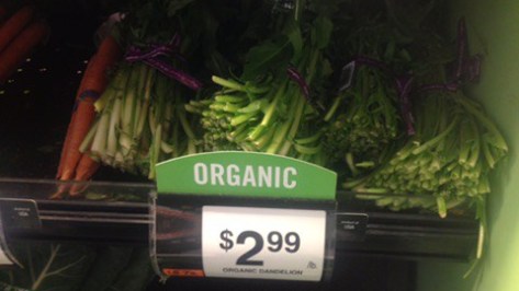 Organic Dandelion greens on display at whole foods market
