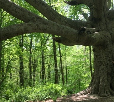 33740f29-658d-4dce-b19d-4f6eb43db1ba