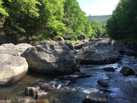 The Dumplings in the West River in Jamaica State Park VT
