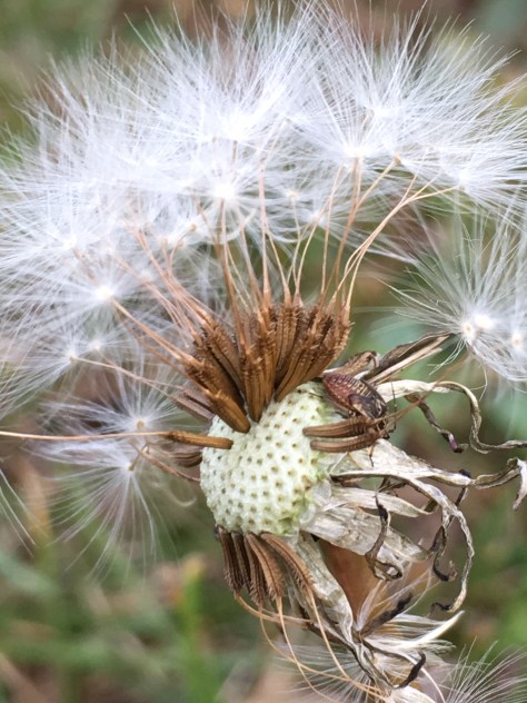 Better change photo.jpg