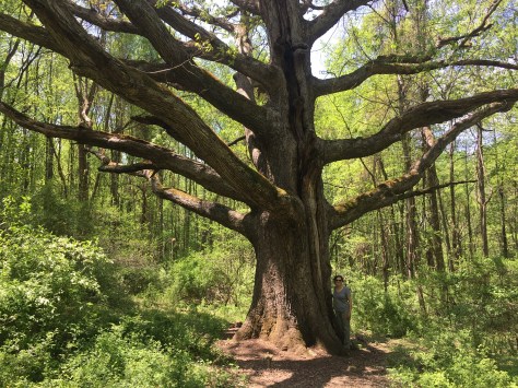 cadca9c4-47f3-4bd4-b51e-be0f70cc16ed