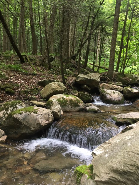 29421d9b-df1d-4c49-b6e4-cad12d26944d