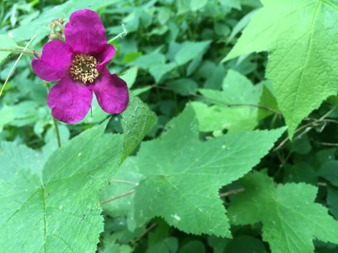 2cdefde9-fc43-4a46-81e3-f8591313facd