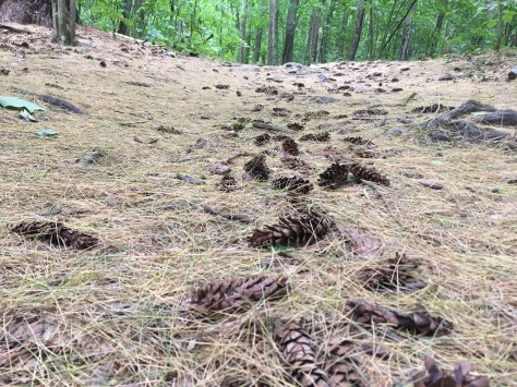 449ec7a1-e5a7-47de-85c8-153cbafef50a