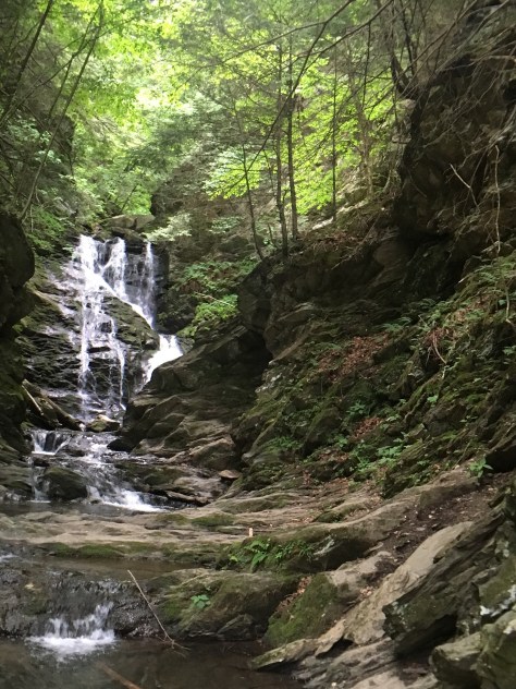 5e9b5e87-e79d-4f7a-abdc-e5b22e60e1e1