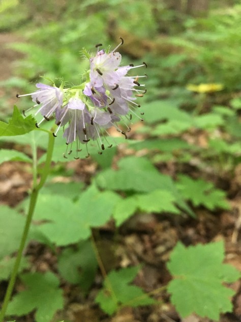 8a12bce6-2399-4adc-8782-ce456d9fd70a