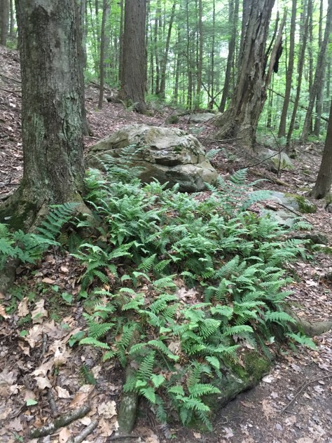 9af9625f-91b1-4a76-a19b-261e9d629a88