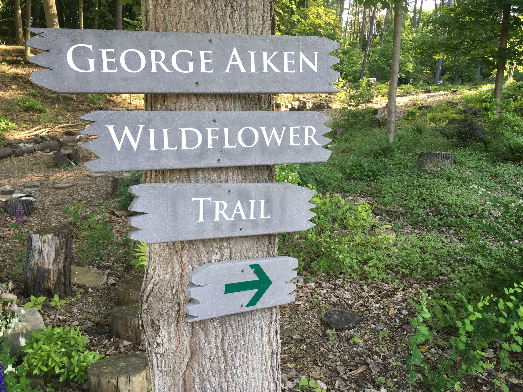 b1807caa-d456-4161-b0dc-9000d459a2c7