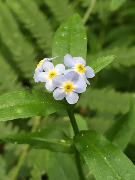 d5d4d842-e2c6-4200-a39e-fe90155c68ed