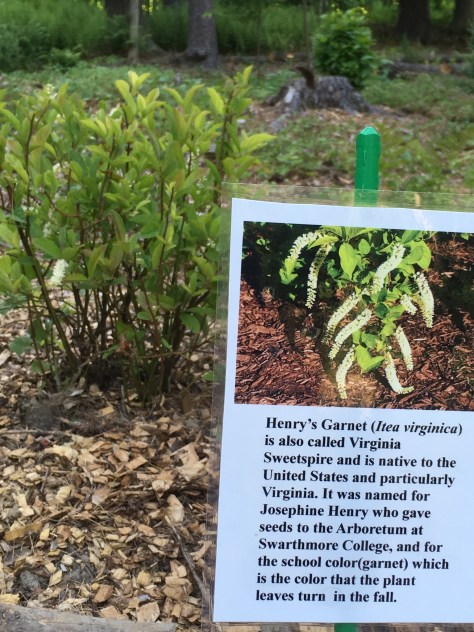 fb2e99db-ed05-4057-9b88-197ec557c944